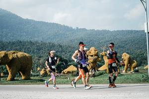 BIB: 
                            <button type="button" onclick="openModal(25882803)" class="btn btn-primary btn-sm float-right btn-popup" data-toggle="modal" data-target=".modal-high-quality">
                        <i class="fas fa-shopping-cart"></i> Add to Cart
                    </button>
                                            <button type="button" onclick="isThisMe(25882803, true)" class="btn btn-success btn-sm float-right btn-popup btn-isme hidden" data-toggle="tooltip" data-placement="bottom" title="นี่คือรูปของคุณใช่ไหม คลิกที่นี่เพื่อเอาเข้าอัลบั้ม">
                        <i class="fas fa-plus"></i> Add to album
                    </button>
                    <button type="button" onclick="isThisMe(25882803, false)" class="btn btn-warning btn-sm float-right btn-popup btn-isnotme hidden">
                        <i class="fas fa-ban"></i> Remove from album
                    </button>