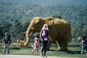 BIB: 
                            <button type="button" onclick="openModal(25943861)" class="btn btn-primary btn-sm float-right btn-popup" data-toggle="modal" data-target=".modal-high-quality">
                        <i class="fas fa-shopping-cart"></i> Add to Cart
                    </button>
                                            <button type="button" onclick="isThisMe(25943861, true)" class="btn btn-success btn-sm float-right btn-popup btn-isme hidden" data-toggle="tooltip" data-placement="bottom" title="นี่คือรูปของคุณใช่ไหม คลิกที่นี่เพื่อเอาเข้าอัลบั้ม">
                        <i class="fas fa-plus"></i> Add to album
                    </button>
                    <button type="button" onclick="isThisMe(25943861, false)" class="btn btn-warning btn-sm float-right btn-popup btn-isnotme hidden">
                        <i class="fas fa-ban"></i> Remove from album
                    </button>