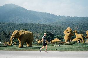 BIB: 
                            <button type="button" onclick="openModal(25885398)" class="btn btn-primary btn-sm float-right btn-popup" data-toggle="modal" data-target=".modal-high-quality">
                        <i class="fas fa-shopping-cart"></i> Add to Cart
                    </button>
                                            <button type="button" onclick="isThisMe(25885398, true)" class="btn btn-success btn-sm float-right btn-popup btn-isme hidden" data-toggle="tooltip" data-placement="bottom" title="นี่คือรูปของคุณใช่ไหม คลิกที่นี่เพื่อเอาเข้าอัลบั้ม">
                        <i class="fas fa-plus"></i> Add to album
                    </button>
                    <button type="button" onclick="isThisMe(25885398, false)" class="btn btn-warning btn-sm float-right btn-popup btn-isnotme hidden">
                        <i class="fas fa-ban"></i> Remove from album
                    </button>