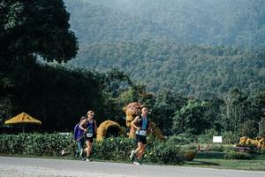 BIB: 
                            <button type="button" onclick="openModal(25871782)" class="btn btn-primary btn-sm float-right btn-popup" data-toggle="modal" data-target=".modal-high-quality">
                        <i class="fas fa-shopping-cart"></i> Add to Cart
                    </button>
                                            <button type="button" onclick="isThisMe(25871782, true)" class="btn btn-success btn-sm float-right btn-popup btn-isme hidden" data-toggle="tooltip" data-placement="bottom" title="นี่คือรูปของคุณใช่ไหม คลิกที่นี่เพื่อเอาเข้าอัลบั้ม">
                        <i class="fas fa-plus"></i> Add to album
                    </button>
                    <button type="button" onclick="isThisMe(25871782, false)" class="btn btn-warning btn-sm float-right btn-popup btn-isnotme hidden">
                        <i class="fas fa-ban"></i> Remove from album
                    </button>