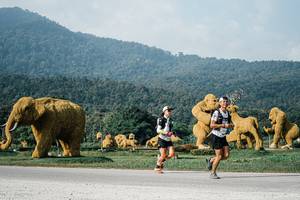 BIB: 
                            <button type="button" onclick="openModal(25870980)" class="btn btn-primary btn-sm float-right btn-popup" data-toggle="modal" data-target=".modal-high-quality">
                        <i class="fas fa-shopping-cart"></i> Add to Cart
                    </button>
                                            <button type="button" onclick="isThisMe(25870980, true)" class="btn btn-success btn-sm float-right btn-popup btn-isme hidden" data-toggle="tooltip" data-placement="bottom" title="นี่คือรูปของคุณใช่ไหม คลิกที่นี่เพื่อเอาเข้าอัลบั้ม">
                        <i class="fas fa-plus"></i> Add to album
                    </button>
                    <button type="button" onclick="isThisMe(25870980, false)" class="btn btn-warning btn-sm float-right btn-popup btn-isnotme hidden">
                        <i class="fas fa-ban"></i> Remove from album
                    </button>