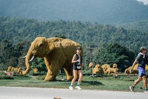 BIB: 
                            <button type="button" onclick="openModal(25900250)" class="btn btn-primary btn-sm float-right btn-popup" data-toggle="modal" data-target=".modal-high-quality">
                        <i class="fas fa-shopping-cart"></i> Add to Cart
                    </button>
                                            <button type="button" onclick="isThisMe(25900250, true)" class="btn btn-success btn-sm float-right btn-popup btn-isme hidden" data-toggle="tooltip" data-placement="bottom" title="นี่คือรูปของคุณใช่ไหม คลิกที่นี่เพื่อเอาเข้าอัลบั้ม">
                        <i class="fas fa-plus"></i> Add to album
                    </button>
                    <button type="button" onclick="isThisMe(25900250, false)" class="btn btn-warning btn-sm float-right btn-popup btn-isnotme hidden">
                        <i class="fas fa-ban"></i> Remove from album
                    </button>