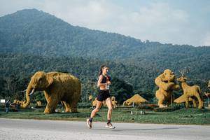 BIB: 
                            <button type="button" onclick="openModal(25870587)" class="btn btn-primary btn-sm float-right btn-popup" data-toggle="modal" data-target=".modal-high-quality">
                        <i class="fas fa-shopping-cart"></i> Add to Cart
                    </button>
                                            <button type="button" onclick="isThisMe(25870587, true)" class="btn btn-success btn-sm float-right btn-popup btn-isme hidden" data-toggle="tooltip" data-placement="bottom" title="นี่คือรูปของคุณใช่ไหม คลิกที่นี่เพื่อเอาเข้าอัลบั้ม">
                        <i class="fas fa-plus"></i> Add to album
                    </button>
                    <button type="button" onclick="isThisMe(25870587, false)" class="btn btn-warning btn-sm float-right btn-popup btn-isnotme hidden">
                        <i class="fas fa-ban"></i> Remove from album
                    </button>