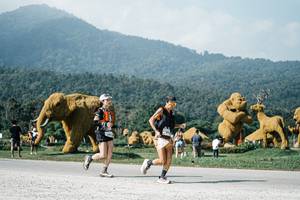 BIB: 
                            <button type="button" onclick="openModal(25884419)" class="btn btn-primary btn-sm float-right btn-popup" data-toggle="modal" data-target=".modal-high-quality">
                        <i class="fas fa-shopping-cart"></i> Add to Cart
                    </button>
                                            <button type="button" onclick="isThisMe(25884419, true)" class="btn btn-success btn-sm float-right btn-popup btn-isme hidden" data-toggle="tooltip" data-placement="bottom" title="นี่คือรูปของคุณใช่ไหม คลิกที่นี่เพื่อเอาเข้าอัลบั้ม">
                        <i class="fas fa-plus"></i> Add to album
                    </button>
                    <button type="button" onclick="isThisMe(25884419, false)" class="btn btn-warning btn-sm float-right btn-popup btn-isnotme hidden">
                        <i class="fas fa-ban"></i> Remove from album
                    </button>