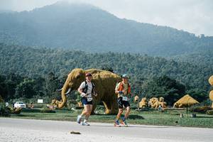 BIB: 
                            <button type="button" onclick="openModal(25906971)" class="btn btn-primary btn-sm float-right btn-popup" data-toggle="modal" data-target=".modal-high-quality">
                        <i class="fas fa-shopping-cart"></i> Add to Cart
                    </button>
                                            <button type="button" onclick="isThisMe(25906971, true)" class="btn btn-success btn-sm float-right btn-popup btn-isme hidden" data-toggle="tooltip" data-placement="bottom" title="นี่คือรูปของคุณใช่ไหม คลิกที่นี่เพื่อเอาเข้าอัลบั้ม">
                        <i class="fas fa-plus"></i> Add to album
                    </button>
                    <button type="button" onclick="isThisMe(25906971, false)" class="btn btn-warning btn-sm float-right btn-popup btn-isnotme hidden">
                        <i class="fas fa-ban"></i> Remove from album
                    </button>