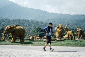 BIB: 
                            <button type="button" onclick="openModal(25982268)" class="btn btn-primary btn-sm float-right btn-popup" data-toggle="modal" data-target=".modal-high-quality">
                        <i class="fas fa-shopping-cart"></i> Add to Cart
                    </button>
                                            <button type="button" onclick="isThisMe(25982268, true)" class="btn btn-success btn-sm float-right btn-popup btn-isme hidden" data-toggle="tooltip" data-placement="bottom" title="นี่คือรูปของคุณใช่ไหม คลิกที่นี่เพื่อเอาเข้าอัลบั้ม">
                        <i class="fas fa-plus"></i> Add to album
                    </button>
                    <button type="button" onclick="isThisMe(25982268, false)" class="btn btn-warning btn-sm float-right btn-popup btn-isnotme hidden">
                        <i class="fas fa-ban"></i> Remove from album
                    </button>