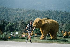 BIB: 
                            <button type="button" onclick="openModal(25896723)" class="btn btn-primary btn-sm float-right btn-popup" data-toggle="modal" data-target=".modal-high-quality">
                        <i class="fas fa-shopping-cart"></i> Add to Cart
                    </button>
                                            <button type="button" onclick="isThisMe(25896723, true)" class="btn btn-success btn-sm float-right btn-popup btn-isme hidden" data-toggle="tooltip" data-placement="bottom" title="นี่คือรูปของคุณใช่ไหม คลิกที่นี่เพื่อเอาเข้าอัลบั้ม">
                        <i class="fas fa-plus"></i> Add to album
                    </button>
                    <button type="button" onclick="isThisMe(25896723, false)" class="btn btn-warning btn-sm float-right btn-popup btn-isnotme hidden">
                        <i class="fas fa-ban"></i> Remove from album
                    </button>