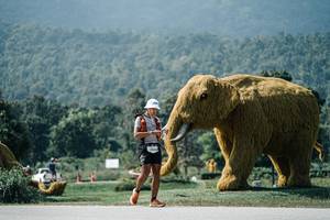 BIB: 
                            <button type="button" onclick="openModal(25955761)" class="btn btn-primary btn-sm float-right btn-popup" data-toggle="modal" data-target=".modal-high-quality">
                        <i class="fas fa-shopping-cart"></i> Add to Cart
                    </button>
                                            <button type="button" onclick="isThisMe(25955761, true)" class="btn btn-success btn-sm float-right btn-popup btn-isme hidden" data-toggle="tooltip" data-placement="bottom" title="นี่คือรูปของคุณใช่ไหม คลิกที่นี่เพื่อเอาเข้าอัลบั้ม">
                        <i class="fas fa-plus"></i> Add to album
                    </button>
                    <button type="button" onclick="isThisMe(25955761, false)" class="btn btn-warning btn-sm float-right btn-popup btn-isnotme hidden">
                        <i class="fas fa-ban"></i> Remove from album
                    </button>