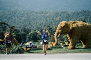 BIB: 
                            <button type="button" onclick="openModal(25909547)" class="btn btn-primary btn-sm float-right btn-popup" data-toggle="modal" data-target=".modal-high-quality">
                        <i class="fas fa-shopping-cart"></i> Add to Cart
                    </button>
                                            <button type="button" onclick="isThisMe(25909547, true)" class="btn btn-success btn-sm float-right btn-popup btn-isme hidden" data-toggle="tooltip" data-placement="bottom" title="นี่คือรูปของคุณใช่ไหม คลิกที่นี่เพื่อเอาเข้าอัลบั้ม">
                        <i class="fas fa-plus"></i> Add to album
                    </button>
                    <button type="button" onclick="isThisMe(25909547, false)" class="btn btn-warning btn-sm float-right btn-popup btn-isnotme hidden">
                        <i class="fas fa-ban"></i> Remove from album
                    </button>