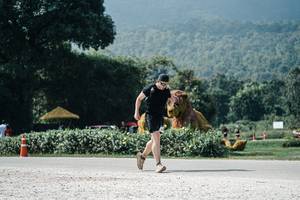 BIB: 
                            <button type="button" onclick="openModal(25948850)" class="btn btn-primary btn-sm float-right btn-popup" data-toggle="modal" data-target=".modal-high-quality">
                        <i class="fas fa-shopping-cart"></i> Add to Cart
                    </button>
                                            <button type="button" onclick="isThisMe(25948850, true)" class="btn btn-success btn-sm float-right btn-popup btn-isme hidden" data-toggle="tooltip" data-placement="bottom" title="นี่คือรูปของคุณใช่ไหม คลิกที่นี่เพื่อเอาเข้าอัลบั้ม">
                        <i class="fas fa-plus"></i> Add to album
                    </button>
                    <button type="button" onclick="isThisMe(25948850, false)" class="btn btn-warning btn-sm float-right btn-popup btn-isnotme hidden">
                        <i class="fas fa-ban"></i> Remove from album
                    </button>