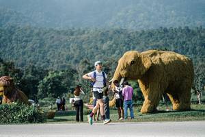 BIB: 
                            <button type="button" onclick="openModal(25881213)" class="btn btn-primary btn-sm float-right btn-popup" data-toggle="modal" data-target=".modal-high-quality">
                        <i class="fas fa-shopping-cart"></i> Add to Cart
                    </button>
                                            <button type="button" onclick="isThisMe(25881213, true)" class="btn btn-success btn-sm float-right btn-popup btn-isme hidden" data-toggle="tooltip" data-placement="bottom" title="นี่คือรูปของคุณใช่ไหม คลิกที่นี่เพื่อเอาเข้าอัลบั้ม">
                        <i class="fas fa-plus"></i> Add to album
                    </button>
                    <button type="button" onclick="isThisMe(25881213, false)" class="btn btn-warning btn-sm float-right btn-popup btn-isnotme hidden">
                        <i class="fas fa-ban"></i> Remove from album
                    </button>