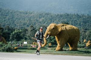 BIB: 
                            <button type="button" onclick="openModal(25896715)" class="btn btn-primary btn-sm float-right btn-popup" data-toggle="modal" data-target=".modal-high-quality">
                        <i class="fas fa-shopping-cart"></i> Add to Cart
                    </button>
                                            <button type="button" onclick="isThisMe(25896715, true)" class="btn btn-success btn-sm float-right btn-popup btn-isme hidden" data-toggle="tooltip" data-placement="bottom" title="นี่คือรูปของคุณใช่ไหม คลิกที่นี่เพื่อเอาเข้าอัลบั้ม">
                        <i class="fas fa-plus"></i> Add to album
                    </button>
                    <button type="button" onclick="isThisMe(25896715, false)" class="btn btn-warning btn-sm float-right btn-popup btn-isnotme hidden">
                        <i class="fas fa-ban"></i> Remove from album
                    </button>