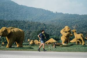 BIB: 
                            <button type="button" onclick="openModal(25871874)" class="btn btn-primary btn-sm float-right btn-popup" data-toggle="modal" data-target=".modal-high-quality">
                        <i class="fas fa-shopping-cart"></i> Add to Cart
                    </button>
                                            <button type="button" onclick="isThisMe(25871874, true)" class="btn btn-success btn-sm float-right btn-popup btn-isme hidden" data-toggle="tooltip" data-placement="bottom" title="นี่คือรูปของคุณใช่ไหม คลิกที่นี่เพื่อเอาเข้าอัลบั้ม">
                        <i class="fas fa-plus"></i> Add to album
                    </button>
                    <button type="button" onclick="isThisMe(25871874, false)" class="btn btn-warning btn-sm float-right btn-popup btn-isnotme hidden">
                        <i class="fas fa-ban"></i> Remove from album
                    </button>