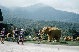 BIB: 
                            <button type="button" onclick="openModal(25897445)" class="btn btn-primary btn-sm float-right btn-popup" data-toggle="modal" data-target=".modal-high-quality">
                        <i class="fas fa-shopping-cart"></i> Add to Cart
                    </button>
                                            <button type="button" onclick="isThisMe(25897445, true)" class="btn btn-success btn-sm float-right btn-popup btn-isme hidden" data-toggle="tooltip" data-placement="bottom" title="นี่คือรูปของคุณใช่ไหม คลิกที่นี่เพื่อเอาเข้าอัลบั้ม">
                        <i class="fas fa-plus"></i> Add to album
                    </button>
                    <button type="button" onclick="isThisMe(25897445, false)" class="btn btn-warning btn-sm float-right btn-popup btn-isnotme hidden">
                        <i class="fas fa-ban"></i> Remove from album
                    </button>