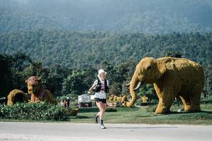 BIB: 
                            <button type="button" onclick="openModal(25885262)" class="btn btn-primary btn-sm float-right btn-popup" data-toggle="modal" data-target=".modal-high-quality">
                        <i class="fas fa-shopping-cart"></i> Add to Cart
                    </button>
                                            <button type="button" onclick="isThisMe(25885262, true)" class="btn btn-success btn-sm float-right btn-popup btn-isme hidden" data-toggle="tooltip" data-placement="bottom" title="นี่คือรูปของคุณใช่ไหม คลิกที่นี่เพื่อเอาเข้าอัลบั้ม">
                        <i class="fas fa-plus"></i> Add to album
                    </button>
                    <button type="button" onclick="isThisMe(25885262, false)" class="btn btn-warning btn-sm float-right btn-popup btn-isnotme hidden">
                        <i class="fas fa-ban"></i> Remove from album
                    </button>