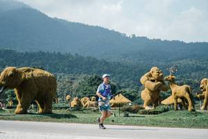 BIB: 
                            <button type="button" onclick="openModal(25946643)" class="btn btn-primary btn-sm float-right btn-popup" data-toggle="modal" data-target=".modal-high-quality">
                        <i class="fas fa-shopping-cart"></i> Add to Cart
                    </button>
                                            <button type="button" onclick="isThisMe(25946643, true)" class="btn btn-success btn-sm float-right btn-popup btn-isme hidden" data-toggle="tooltip" data-placement="bottom" title="นี่คือรูปของคุณใช่ไหม คลิกที่นี่เพื่อเอาเข้าอัลบั้ม">
                        <i class="fas fa-plus"></i> Add to album
                    </button>
                    <button type="button" onclick="isThisMe(25946643, false)" class="btn btn-warning btn-sm float-right btn-popup btn-isnotme hidden">
                        <i class="fas fa-ban"></i> Remove from album
                    </button>