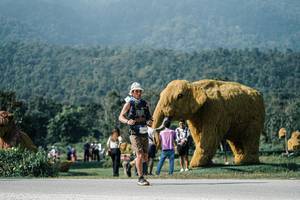 BIB: 
                            <button type="button" onclick="openModal(25880294)" class="btn btn-primary btn-sm float-right btn-popup" data-toggle="modal" data-target=".modal-high-quality">
                        <i class="fas fa-shopping-cart"></i> Add to Cart
                    </button>
                                            <button type="button" onclick="isThisMe(25880294, true)" class="btn btn-success btn-sm float-right btn-popup btn-isme hidden" data-toggle="tooltip" data-placement="bottom" title="นี่คือรูปของคุณใช่ไหม คลิกที่นี่เพื่อเอาเข้าอัลบั้ม">
                        <i class="fas fa-plus"></i> Add to album
                    </button>
                    <button type="button" onclick="isThisMe(25880294, false)" class="btn btn-warning btn-sm float-right btn-popup btn-isnotme hidden">
                        <i class="fas fa-ban"></i> Remove from album
                    </button>