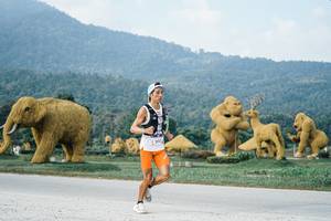 BIB: 
                            <button type="button" onclick="openModal(25870053)" class="btn btn-primary btn-sm float-right btn-popup" data-toggle="modal" data-target=".modal-high-quality">
                        <i class="fas fa-shopping-cart"></i> Add to Cart
                    </button>
                                            <button type="button" onclick="isThisMe(25870053, true)" class="btn btn-success btn-sm float-right btn-popup btn-isme hidden" data-toggle="tooltip" data-placement="bottom" title="นี่คือรูปของคุณใช่ไหม คลิกที่นี่เพื่อเอาเข้าอัลบั้ม">
                        <i class="fas fa-plus"></i> Add to album
                    </button>
                    <button type="button" onclick="isThisMe(25870053, false)" class="btn btn-warning btn-sm float-right btn-popup btn-isnotme hidden">
                        <i class="fas fa-ban"></i> Remove from album
                    </button>