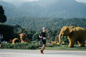 BIB: 
                            <button type="button" onclick="openModal(25876902)" class="btn btn-primary btn-sm float-right btn-popup" data-toggle="modal" data-target=".modal-high-quality">
                        <i class="fas fa-shopping-cart"></i> Add to Cart
                    </button>
                                            <button type="button" onclick="isThisMe(25876902, true)" class="btn btn-success btn-sm float-right btn-popup btn-isme hidden" data-toggle="tooltip" data-placement="bottom" title="นี่คือรูปของคุณใช่ไหม คลิกที่นี่เพื่อเอาเข้าอัลบั้ม">
                        <i class="fas fa-plus"></i> Add to album
                    </button>
                    <button type="button" onclick="isThisMe(25876902, false)" class="btn btn-warning btn-sm float-right btn-popup btn-isnotme hidden">
                        <i class="fas fa-ban"></i> Remove from album
                    </button>