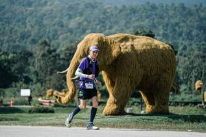 BIB: 
                            <button type="button" onclick="openModal(25915236)" class="btn btn-primary btn-sm float-right btn-popup" data-toggle="modal" data-target=".modal-high-quality">
                        <i class="fas fa-shopping-cart"></i> Add to Cart
                    </button>
                                            <button type="button" onclick="isThisMe(25915236, true)" class="btn btn-success btn-sm float-right btn-popup btn-isme hidden" data-toggle="tooltip" data-placement="bottom" title="นี่คือรูปของคุณใช่ไหม คลิกที่นี่เพื่อเอาเข้าอัลบั้ม">
                        <i class="fas fa-plus"></i> Add to album
                    </button>
                    <button type="button" onclick="isThisMe(25915236, false)" class="btn btn-warning btn-sm float-right btn-popup btn-isnotme hidden">
                        <i class="fas fa-ban"></i> Remove from album
                    </button>