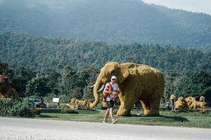 BIB: 
                            <button type="button" onclick="openModal(25887635)" class="btn btn-primary btn-sm float-right btn-popup" data-toggle="modal" data-target=".modal-high-quality">
                        <i class="fas fa-shopping-cart"></i> Add to Cart
                    </button>
                                            <button type="button" onclick="isThisMe(25887635, true)" class="btn btn-success btn-sm float-right btn-popup btn-isme hidden" data-toggle="tooltip" data-placement="bottom" title="นี่คือรูปของคุณใช่ไหม คลิกที่นี่เพื่อเอาเข้าอัลบั้ม">
                        <i class="fas fa-plus"></i> Add to album
                    </button>
                    <button type="button" onclick="isThisMe(25887635, false)" class="btn btn-warning btn-sm float-right btn-popup btn-isnotme hidden">
                        <i class="fas fa-ban"></i> Remove from album
                    </button>