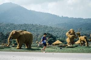 BIB: 
                            <button type="button" onclick="openModal(25969405)" class="btn btn-primary btn-sm float-right btn-popup" data-toggle="modal" data-target=".modal-high-quality">
                        <i class="fas fa-shopping-cart"></i> Add to Cart
                    </button>
                                            <button type="button" onclick="isThisMe(25969405, true)" class="btn btn-success btn-sm float-right btn-popup btn-isme hidden" data-toggle="tooltip" data-placement="bottom" title="นี่คือรูปของคุณใช่ไหม คลิกที่นี่เพื่อเอาเข้าอัลบั้ม">
                        <i class="fas fa-plus"></i> Add to album
                    </button>
                    <button type="button" onclick="isThisMe(25969405, false)" class="btn btn-warning btn-sm float-right btn-popup btn-isnotme hidden">
                        <i class="fas fa-ban"></i> Remove from album
                    </button>