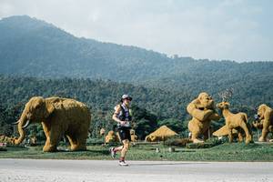 BIB: 
                            <button type="button" onclick="openModal(25886679)" class="btn btn-primary btn-sm float-right btn-popup" data-toggle="modal" data-target=".modal-high-quality">
                        <i class="fas fa-shopping-cart"></i> Add to Cart
                    </button>
                                            <button type="button" onclick="isThisMe(25886679, true)" class="btn btn-success btn-sm float-right btn-popup btn-isme hidden" data-toggle="tooltip" data-placement="bottom" title="นี่คือรูปของคุณใช่ไหม คลิกที่นี่เพื่อเอาเข้าอัลบั้ม">
                        <i class="fas fa-plus"></i> Add to album
                    </button>
                    <button type="button" onclick="isThisMe(25886679, false)" class="btn btn-warning btn-sm float-right btn-popup btn-isnotme hidden">
                        <i class="fas fa-ban"></i> Remove from album
                    </button>