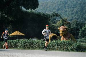 BIB: 
                            <button type="button" onclick="openModal(25872605)" class="btn btn-primary btn-sm float-right btn-popup" data-toggle="modal" data-target=".modal-high-quality">
                        <i class="fas fa-shopping-cart"></i> Add to Cart
                    </button>
                                            <button type="button" onclick="isThisMe(25872605, true)" class="btn btn-success btn-sm float-right btn-popup btn-isme hidden" data-toggle="tooltip" data-placement="bottom" title="นี่คือรูปของคุณใช่ไหม คลิกที่นี่เพื่อเอาเข้าอัลบั้ม">
                        <i class="fas fa-plus"></i> Add to album
                    </button>
                    <button type="button" onclick="isThisMe(25872605, false)" class="btn btn-warning btn-sm float-right btn-popup btn-isnotme hidden">
                        <i class="fas fa-ban"></i> Remove from album
                    </button>