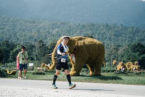 BIB: 
                            <button type="button" onclick="openModal(25955294)" class="btn btn-primary btn-sm float-right btn-popup" data-toggle="modal" data-target=".modal-high-quality">
                        <i class="fas fa-shopping-cart"></i> Add to Cart
                    </button>
                                            <button type="button" onclick="isThisMe(25955294, true)" class="btn btn-success btn-sm float-right btn-popup btn-isme hidden" data-toggle="tooltip" data-placement="bottom" title="นี่คือรูปของคุณใช่ไหม คลิกที่นี่เพื่อเอาเข้าอัลบั้ม">
                        <i class="fas fa-plus"></i> Add to album
                    </button>
                    <button type="button" onclick="isThisMe(25955294, false)" class="btn btn-warning btn-sm float-right btn-popup btn-isnotme hidden">
                        <i class="fas fa-ban"></i> Remove from album
                    </button>