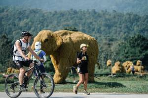 BIB: 
                            <button type="button" onclick="openModal(25902031)" class="btn btn-primary btn-sm float-right btn-popup" data-toggle="modal" data-target=".modal-high-quality">
                        <i class="fas fa-shopping-cart"></i> Add to Cart
                    </button>
                                            <button type="button" onclick="isThisMe(25902031, true)" class="btn btn-success btn-sm float-right btn-popup btn-isme hidden" data-toggle="tooltip" data-placement="bottom" title="นี่คือรูปของคุณใช่ไหม คลิกที่นี่เพื่อเอาเข้าอัลบั้ม">
                        <i class="fas fa-plus"></i> Add to album
                    </button>
                    <button type="button" onclick="isThisMe(25902031, false)" class="btn btn-warning btn-sm float-right btn-popup btn-isnotme hidden">
                        <i class="fas fa-ban"></i> Remove from album
                    </button>