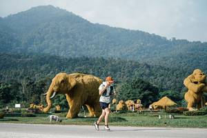 BIB: 
                            <button type="button" onclick="openModal(25870999)" class="btn btn-primary btn-sm float-right btn-popup" data-toggle="modal" data-target=".modal-high-quality">
                        <i class="fas fa-shopping-cart"></i> Add to Cart
                    </button>
                                            <button type="button" onclick="isThisMe(25870999, true)" class="btn btn-success btn-sm float-right btn-popup btn-isme hidden" data-toggle="tooltip" data-placement="bottom" title="นี่คือรูปของคุณใช่ไหม คลิกที่นี่เพื่อเอาเข้าอัลบั้ม">
                        <i class="fas fa-plus"></i> Add to album
                    </button>
                    <button type="button" onclick="isThisMe(25870999, false)" class="btn btn-warning btn-sm float-right btn-popup btn-isnotme hidden">
                        <i class="fas fa-ban"></i> Remove from album
                    </button>