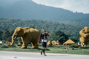 BIB: 
                            <button type="button" onclick="openModal(25920285)" class="btn btn-primary btn-sm float-right btn-popup" data-toggle="modal" data-target=".modal-high-quality">
                        <i class="fas fa-shopping-cart"></i> Add to Cart
                    </button>
                                            <button type="button" onclick="isThisMe(25920285, true)" class="btn btn-success btn-sm float-right btn-popup btn-isme hidden" data-toggle="tooltip" data-placement="bottom" title="นี่คือรูปของคุณใช่ไหม คลิกที่นี่เพื่อเอาเข้าอัลบั้ม">
                        <i class="fas fa-plus"></i> Add to album
                    </button>
                    <button type="button" onclick="isThisMe(25920285, false)" class="btn btn-warning btn-sm float-right btn-popup btn-isnotme hidden">
                        <i class="fas fa-ban"></i> Remove from album
                    </button>