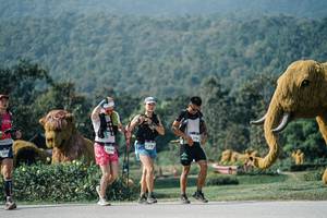 BIB: 
                            <button type="button" onclick="openModal(25900956)" class="btn btn-primary btn-sm float-right btn-popup" data-toggle="modal" data-target=".modal-high-quality">
                        <i class="fas fa-shopping-cart"></i> Add to Cart
                    </button>
                                            <button type="button" onclick="isThisMe(25900956, true)" class="btn btn-success btn-sm float-right btn-popup btn-isme hidden" data-toggle="tooltip" data-placement="bottom" title="นี่คือรูปของคุณใช่ไหม คลิกที่นี่เพื่อเอาเข้าอัลบั้ม">
                        <i class="fas fa-plus"></i> Add to album
                    </button>
                    <button type="button" onclick="isThisMe(25900956, false)" class="btn btn-warning btn-sm float-right btn-popup btn-isnotme hidden">
                        <i class="fas fa-ban"></i> Remove from album
                    </button>