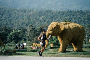 BIB: 
                            <button type="button" onclick="openModal(25877159)" class="btn btn-primary btn-sm float-right btn-popup" data-toggle="modal" data-target=".modal-high-quality">
                        <i class="fas fa-shopping-cart"></i> Add to Cart
                    </button>
                                            <button type="button" onclick="isThisMe(25877159, true)" class="btn btn-success btn-sm float-right btn-popup btn-isme hidden" data-toggle="tooltip" data-placement="bottom" title="นี่คือรูปของคุณใช่ไหม คลิกที่นี่เพื่อเอาเข้าอัลบั้ม">
                        <i class="fas fa-plus"></i> Add to album
                    </button>
                    <button type="button" onclick="isThisMe(25877159, false)" class="btn btn-warning btn-sm float-right btn-popup btn-isnotme hidden">
                        <i class="fas fa-ban"></i> Remove from album
                    </button>