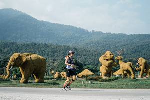 BIB: 
                            <button type="button" onclick="openModal(25886699)" class="btn btn-primary btn-sm float-right btn-popup" data-toggle="modal" data-target=".modal-high-quality">
                        <i class="fas fa-shopping-cart"></i> Add to Cart
                    </button>
                                            <button type="button" onclick="isThisMe(25886699, true)" class="btn btn-success btn-sm float-right btn-popup btn-isme hidden" data-toggle="tooltip" data-placement="bottom" title="นี่คือรูปของคุณใช่ไหม คลิกที่นี่เพื่อเอาเข้าอัลบั้ม">
                        <i class="fas fa-plus"></i> Add to album
                    </button>
                    <button type="button" onclick="isThisMe(25886699, false)" class="btn btn-warning btn-sm float-right btn-popup btn-isnotme hidden">
                        <i class="fas fa-ban"></i> Remove from album
                    </button>