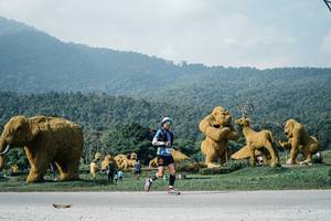 BIB: 
                            <button type="button" onclick="openModal(25892381)" class="btn btn-primary btn-sm float-right btn-popup" data-toggle="modal" data-target=".modal-high-quality">
                        <i class="fas fa-shopping-cart"></i> Add to Cart
                    </button>
                                            <button type="button" onclick="isThisMe(25892381, true)" class="btn btn-success btn-sm float-right btn-popup btn-isme hidden" data-toggle="tooltip" data-placement="bottom" title="นี่คือรูปของคุณใช่ไหม คลิกที่นี่เพื่อเอาเข้าอัลบั้ม">
                        <i class="fas fa-plus"></i> Add to album
                    </button>
                    <button type="button" onclick="isThisMe(25892381, false)" class="btn btn-warning btn-sm float-right btn-popup btn-isnotme hidden">
                        <i class="fas fa-ban"></i> Remove from album
                    </button>