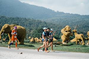 BIB: 
                            <button type="button" onclick="openModal(25899548)" class="btn btn-primary btn-sm float-right btn-popup" data-toggle="modal" data-target=".modal-high-quality">
                        <i class="fas fa-shopping-cart"></i> Add to Cart
                    </button>
                                            <button type="button" onclick="isThisMe(25899548, true)" class="btn btn-success btn-sm float-right btn-popup btn-isme hidden" data-toggle="tooltip" data-placement="bottom" title="นี่คือรูปของคุณใช่ไหม คลิกที่นี่เพื่อเอาเข้าอัลบั้ม">
                        <i class="fas fa-plus"></i> Add to album
                    </button>
                    <button type="button" onclick="isThisMe(25899548, false)" class="btn btn-warning btn-sm float-right btn-popup btn-isnotme hidden">
                        <i class="fas fa-ban"></i> Remove from album
                    </button>