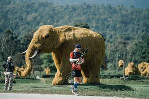 BIB: 
                            <button type="button" onclick="openModal(25918811)" class="btn btn-primary btn-sm float-right btn-popup" data-toggle="modal" data-target=".modal-high-quality">
                        <i class="fas fa-shopping-cart"></i> Add to Cart
                    </button>
                                            <button type="button" onclick="isThisMe(25918811, true)" class="btn btn-success btn-sm float-right btn-popup btn-isme hidden" data-toggle="tooltip" data-placement="bottom" title="นี่คือรูปของคุณใช่ไหม คลิกที่นี่เพื่อเอาเข้าอัลบั้ม">
                        <i class="fas fa-plus"></i> Add to album
                    </button>
                    <button type="button" onclick="isThisMe(25918811, false)" class="btn btn-warning btn-sm float-right btn-popup btn-isnotme hidden">
                        <i class="fas fa-ban"></i> Remove from album
                    </button>