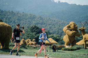 BIB: 
                            <button type="button" onclick="openModal(25970435)" class="btn btn-primary btn-sm float-right btn-popup" data-toggle="modal" data-target=".modal-high-quality">
                        <i class="fas fa-shopping-cart"></i> Add to Cart
                    </button>
                                            <button type="button" onclick="isThisMe(25970435, true)" class="btn btn-success btn-sm float-right btn-popup btn-isme hidden" data-toggle="tooltip" data-placement="bottom" title="นี่คือรูปของคุณใช่ไหม คลิกที่นี่เพื่อเอาเข้าอัลบั้ม">
                        <i class="fas fa-plus"></i> Add to album
                    </button>
                    <button type="button" onclick="isThisMe(25970435, false)" class="btn btn-warning btn-sm float-right btn-popup btn-isnotme hidden">
                        <i class="fas fa-ban"></i> Remove from album
                    </button>