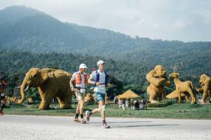 BIB: 
                            <button type="button" onclick="openModal(25878178)" class="btn btn-primary btn-sm float-right btn-popup" data-toggle="modal" data-target=".modal-high-quality">
                        <i class="fas fa-shopping-cart"></i> Add to Cart
                    </button>
                                            <button type="button" onclick="isThisMe(25878178, true)" class="btn btn-success btn-sm float-right btn-popup btn-isme hidden" data-toggle="tooltip" data-placement="bottom" title="นี่คือรูปของคุณใช่ไหม คลิกที่นี่เพื่อเอาเข้าอัลบั้ม">
                        <i class="fas fa-plus"></i> Add to album
                    </button>
                    <button type="button" onclick="isThisMe(25878178, false)" class="btn btn-warning btn-sm float-right btn-popup btn-isnotme hidden">
                        <i class="fas fa-ban"></i> Remove from album
                    </button>