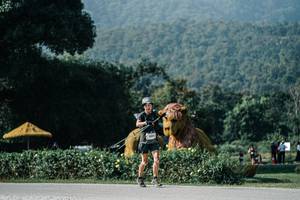 BIB: 
                            <button type="button" onclick="openModal(25877244)" class="btn btn-primary btn-sm float-right btn-popup" data-toggle="modal" data-target=".modal-high-quality">
                        <i class="fas fa-shopping-cart"></i> Add to Cart
                    </button>
                                            <button type="button" onclick="isThisMe(25877244, true)" class="btn btn-success btn-sm float-right btn-popup btn-isme hidden" data-toggle="tooltip" data-placement="bottom" title="นี่คือรูปของคุณใช่ไหม คลิกที่นี่เพื่อเอาเข้าอัลบั้ม">
                        <i class="fas fa-plus"></i> Add to album
                    </button>
                    <button type="button" onclick="isThisMe(25877244, false)" class="btn btn-warning btn-sm float-right btn-popup btn-isnotme hidden">
                        <i class="fas fa-ban"></i> Remove from album
                    </button>