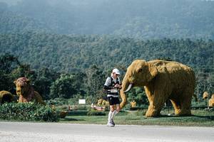 BIB: 
                            <button type="button" onclick="openModal(25884776)" class="btn btn-primary btn-sm float-right btn-popup" data-toggle="modal" data-target=".modal-high-quality">
                        <i class="fas fa-shopping-cart"></i> Add to Cart
                    </button>
                                            <button type="button" onclick="isThisMe(25884776, true)" class="btn btn-success btn-sm float-right btn-popup btn-isme hidden" data-toggle="tooltip" data-placement="bottom" title="นี่คือรูปของคุณใช่ไหม คลิกที่นี่เพื่อเอาเข้าอัลบั้ม">
                        <i class="fas fa-plus"></i> Add to album
                    </button>
                    <button type="button" onclick="isThisMe(25884776, false)" class="btn btn-warning btn-sm float-right btn-popup btn-isnotme hidden">
                        <i class="fas fa-ban"></i> Remove from album
                    </button>