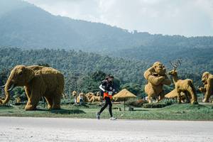 BIB: 
                            <button type="button" onclick="openModal(25969186)" class="btn btn-primary btn-sm float-right btn-popup" data-toggle="modal" data-target=".modal-high-quality">
                        <i class="fas fa-shopping-cart"></i> Add to Cart
                    </button>
                                            <button type="button" onclick="isThisMe(25969186, true)" class="btn btn-success btn-sm float-right btn-popup btn-isme hidden" data-toggle="tooltip" data-placement="bottom" title="นี่คือรูปของคุณใช่ไหม คลิกที่นี่เพื่อเอาเข้าอัลบั้ม">
                        <i class="fas fa-plus"></i> Add to album
                    </button>
                    <button type="button" onclick="isThisMe(25969186, false)" class="btn btn-warning btn-sm float-right btn-popup btn-isnotme hidden">
                        <i class="fas fa-ban"></i> Remove from album
                    </button>