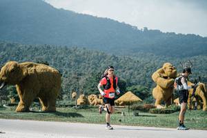 BIB: 
                            <button type="button" onclick="openModal(25924414)" class="btn btn-primary btn-sm float-right btn-popup" data-toggle="modal" data-target=".modal-high-quality">
                        <i class="fas fa-shopping-cart"></i> Add to Cart
                    </button>
                                            <button type="button" onclick="isThisMe(25924414, true)" class="btn btn-success btn-sm float-right btn-popup btn-isme hidden" data-toggle="tooltip" data-placement="bottom" title="นี่คือรูปของคุณใช่ไหม คลิกที่นี่เพื่อเอาเข้าอัลบั้ม">
                        <i class="fas fa-plus"></i> Add to album
                    </button>
                    <button type="button" onclick="isThisMe(25924414, false)" class="btn btn-warning btn-sm float-right btn-popup btn-isnotme hidden">
                        <i class="fas fa-ban"></i> Remove from album
                    </button>