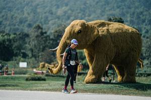 BIB: 
                            <button type="button" onclick="openModal(25958892)" class="btn btn-primary btn-sm float-right btn-popup" data-toggle="modal" data-target=".modal-high-quality">
                        <i class="fas fa-shopping-cart"></i> Add to Cart
                    </button>
                                            <button type="button" onclick="isThisMe(25958892, true)" class="btn btn-success btn-sm float-right btn-popup btn-isme hidden" data-toggle="tooltip" data-placement="bottom" title="นี่คือรูปของคุณใช่ไหม คลิกที่นี่เพื่อเอาเข้าอัลบั้ม">
                        <i class="fas fa-plus"></i> Add to album
                    </button>
                    <button type="button" onclick="isThisMe(25958892, false)" class="btn btn-warning btn-sm float-right btn-popup btn-isnotme hidden">
                        <i class="fas fa-ban"></i> Remove from album
                    </button>