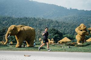 BIB: 
                            <button type="button" onclick="openModal(25891767)" class="btn btn-primary btn-sm float-right btn-popup" data-toggle="modal" data-target=".modal-high-quality">
                        <i class="fas fa-shopping-cart"></i> Add to Cart
                    </button>
                                            <button type="button" onclick="isThisMe(25891767, true)" class="btn btn-success btn-sm float-right btn-popup btn-isme hidden" data-toggle="tooltip" data-placement="bottom" title="นี่คือรูปของคุณใช่ไหม คลิกที่นี่เพื่อเอาเข้าอัลบั้ม">
                        <i class="fas fa-plus"></i> Add to album
                    </button>
                    <button type="button" onclick="isThisMe(25891767, false)" class="btn btn-warning btn-sm float-right btn-popup btn-isnotme hidden">
                        <i class="fas fa-ban"></i> Remove from album
                    </button>