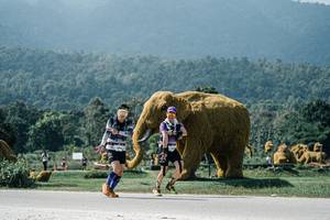 BIB: 
                            <button type="button" onclick="openModal(25965359)" class="btn btn-primary btn-sm float-right btn-popup" data-toggle="modal" data-target=".modal-high-quality">
                        <i class="fas fa-shopping-cart"></i> Add to Cart
                    </button>
                                            <button type="button" onclick="isThisMe(25965359, true)" class="btn btn-success btn-sm float-right btn-popup btn-isme hidden" data-toggle="tooltip" data-placement="bottom" title="นี่คือรูปของคุณใช่ไหม คลิกที่นี่เพื่อเอาเข้าอัลบั้ม">
                        <i class="fas fa-plus"></i> Add to album
                    </button>
                    <button type="button" onclick="isThisMe(25965359, false)" class="btn btn-warning btn-sm float-right btn-popup btn-isnotme hidden">
                        <i class="fas fa-ban"></i> Remove from album
                    </button>