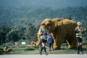 BIB: 
                            <button type="button" onclick="openModal(25940589)" class="btn btn-primary btn-sm float-right btn-popup" data-toggle="modal" data-target=".modal-high-quality">
                        <i class="fas fa-shopping-cart"></i> Add to Cart
                    </button>
                                            <button type="button" onclick="isThisMe(25940589, true)" class="btn btn-success btn-sm float-right btn-popup btn-isme hidden" data-toggle="tooltip" data-placement="bottom" title="นี่คือรูปของคุณใช่ไหม คลิกที่นี่เพื่อเอาเข้าอัลบั้ม">
                        <i class="fas fa-plus"></i> Add to album
                    </button>
                    <button type="button" onclick="isThisMe(25940589, false)" class="btn btn-warning btn-sm float-right btn-popup btn-isnotme hidden">
                        <i class="fas fa-ban"></i> Remove from album
                    </button>