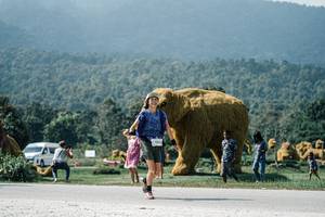 BIB: 
                            <button type="button" onclick="openModal(25956273)" class="btn btn-primary btn-sm float-right btn-popup" data-toggle="modal" data-target=".modal-high-quality">
                        <i class="fas fa-shopping-cart"></i> Add to Cart
                    </button>
                                            <button type="button" onclick="isThisMe(25956273, true)" class="btn btn-success btn-sm float-right btn-popup btn-isme hidden" data-toggle="tooltip" data-placement="bottom" title="นี่คือรูปของคุณใช่ไหม คลิกที่นี่เพื่อเอาเข้าอัลบั้ม">
                        <i class="fas fa-plus"></i> Add to album
                    </button>
                    <button type="button" onclick="isThisMe(25956273, false)" class="btn btn-warning btn-sm float-right btn-popup btn-isnotme hidden">
                        <i class="fas fa-ban"></i> Remove from album
                    </button>