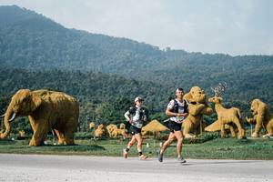 BIB: 
                            <button type="button" onclick="openModal(25870965)" class="btn btn-primary btn-sm float-right btn-popup" data-toggle="modal" data-target=".modal-high-quality">
                        <i class="fas fa-shopping-cart"></i> Add to Cart
                    </button>
                                            <button type="button" onclick="isThisMe(25870965, true)" class="btn btn-success btn-sm float-right btn-popup btn-isme hidden" data-toggle="tooltip" data-placement="bottom" title="นี่คือรูปของคุณใช่ไหม คลิกที่นี่เพื่อเอาเข้าอัลบั้ม">
                        <i class="fas fa-plus"></i> Add to album
                    </button>
                    <button type="button" onclick="isThisMe(25870965, false)" class="btn btn-warning btn-sm float-right btn-popup btn-isnotme hidden">
                        <i class="fas fa-ban"></i> Remove from album
                    </button>